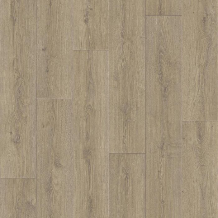 Linoleum Tarkett Praktika Bruno 1 (cut 2.5 m)